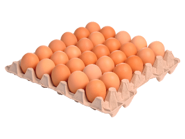 Friss tojás