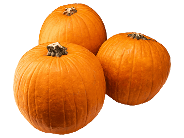 Halloween tök /kg