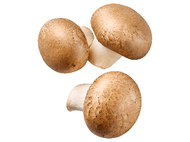Barna csiperkegomba