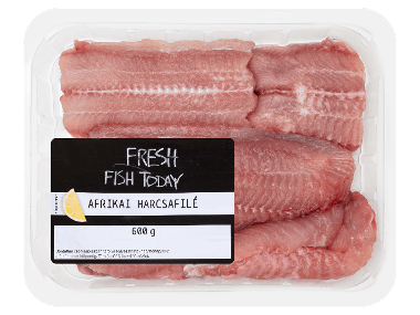 Friss afrikai harcsafilé