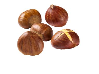 Gesztenye