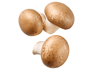 Barna csiperkegomba