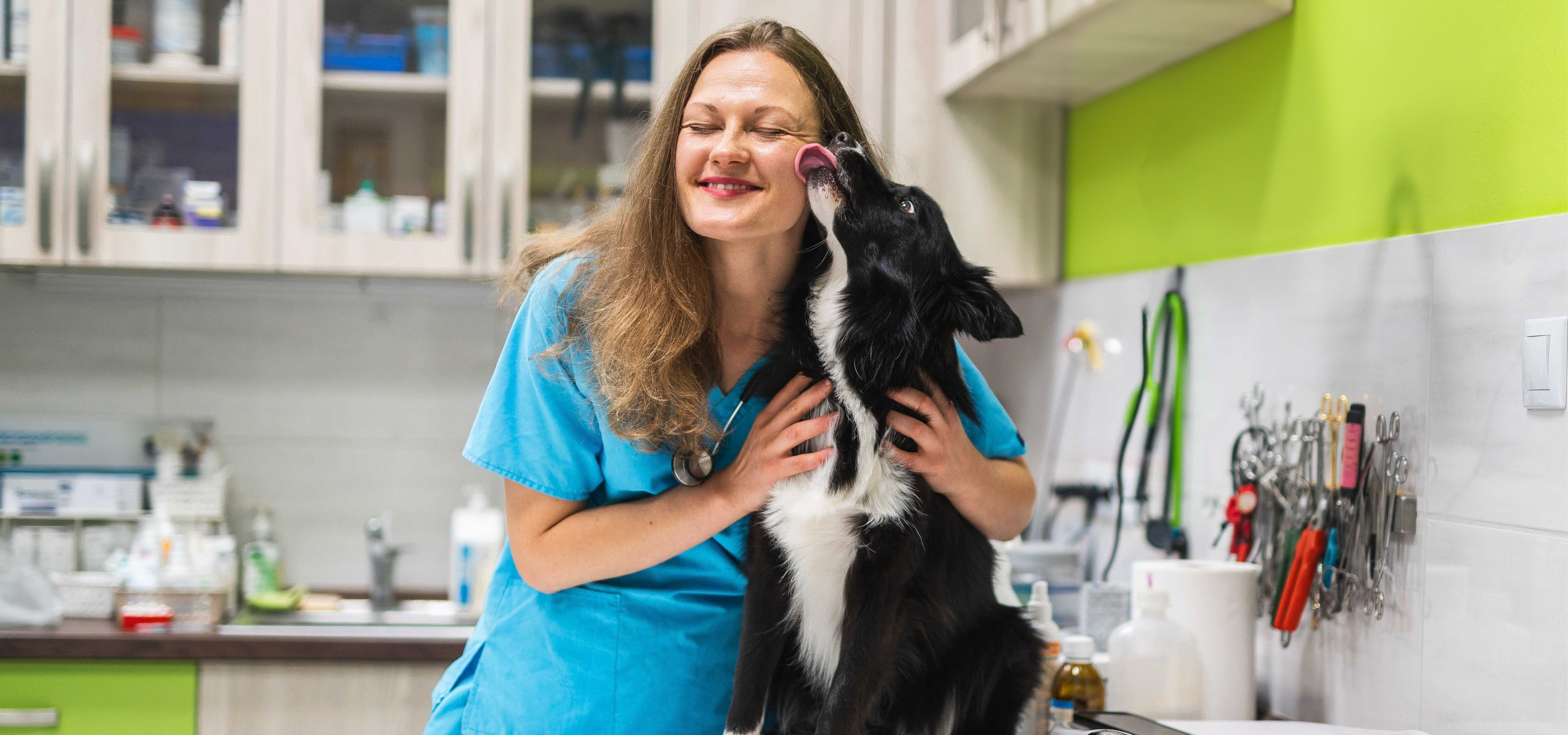 Mosolygós állatorvos kutyával a vállán, mellette állatorvosi szolgáltatást hirdető felirat.