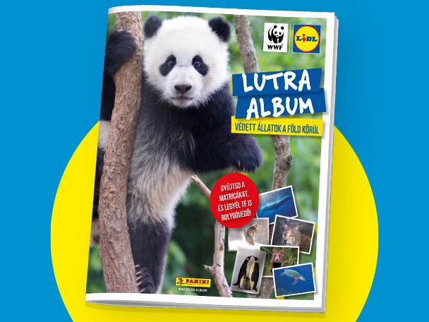 Matricaalbum egy pandával a borítón, „Védett állatok a Föld körül” felirattal.