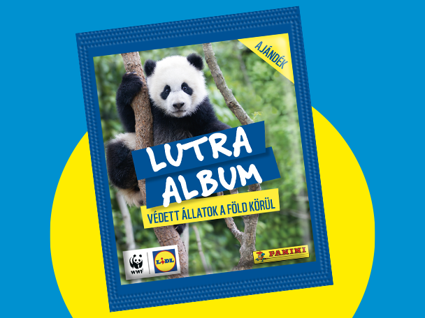 Panda bélyegalbum, ajándék felirattal, védett állatok a Föld körül témában.
