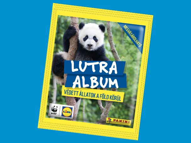 Album borítója pandával, felirattal: 'Lutra Album - Védett állatok a Föld körül'