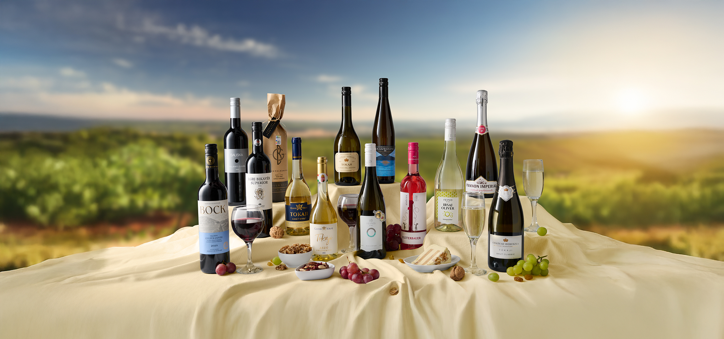 Válogatott vörös, fehér és habzóborok szőlővel és rágcsálnivalókkal, szőlőültetvény háttérrel.