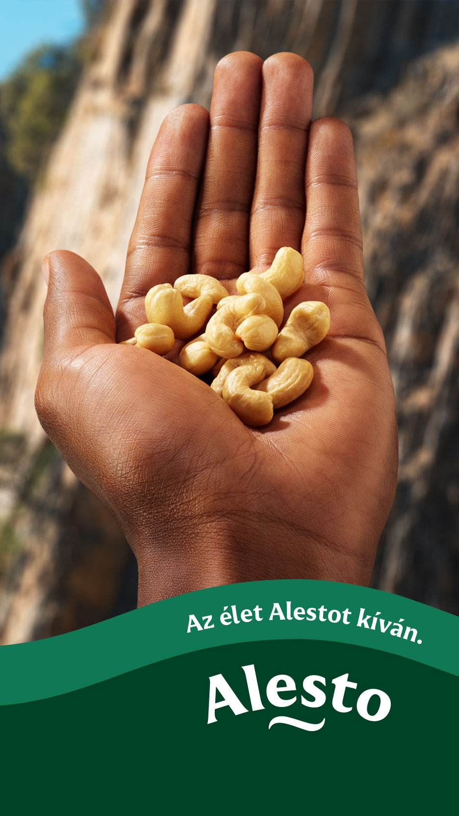 Egy marék kesudió egy kézben, zöld háttérrel és szöveggel: Az élet Alestot kíván. Alesto