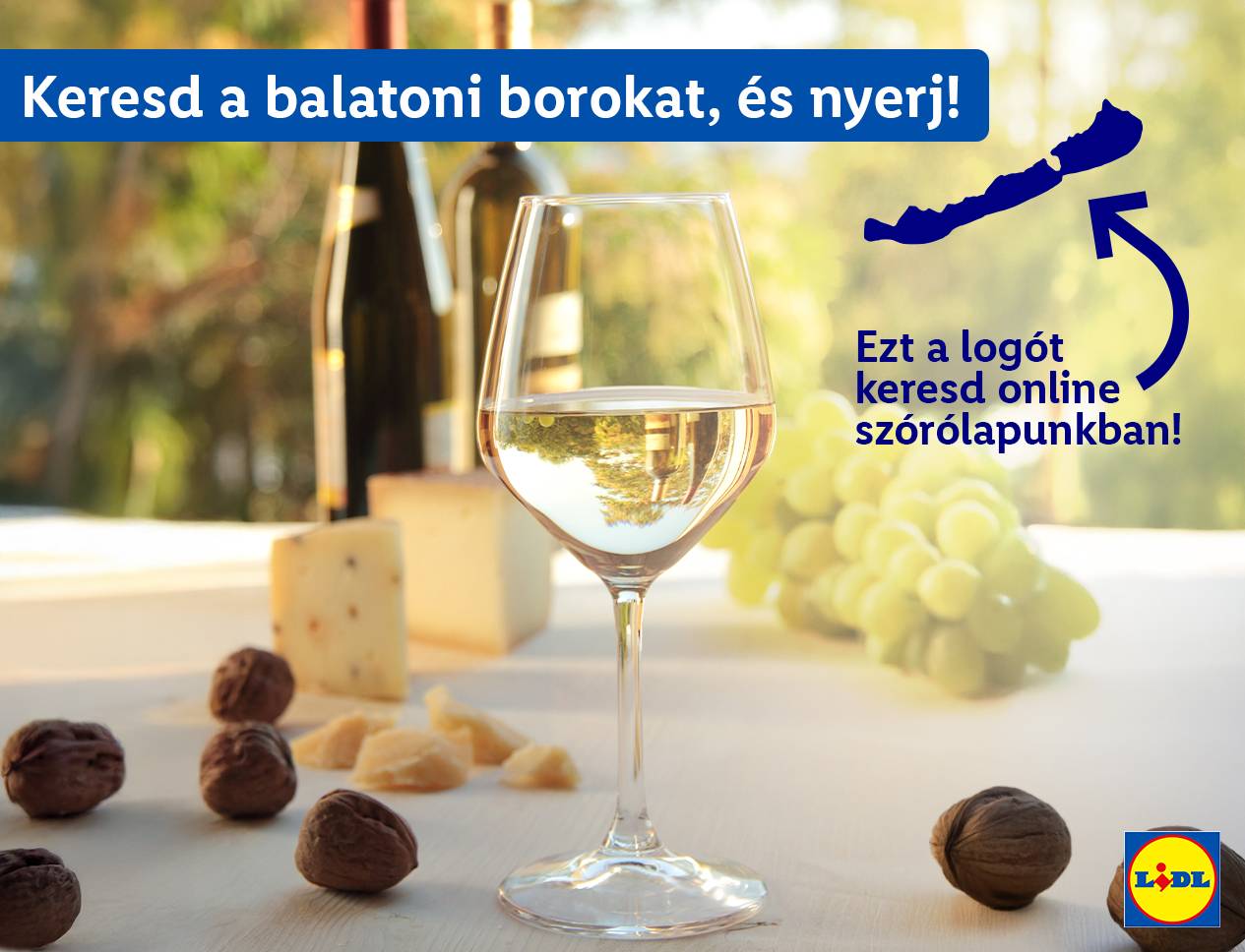Lidl borverseny: Találd meg a logót online, és nyerj Balatoni borokat!