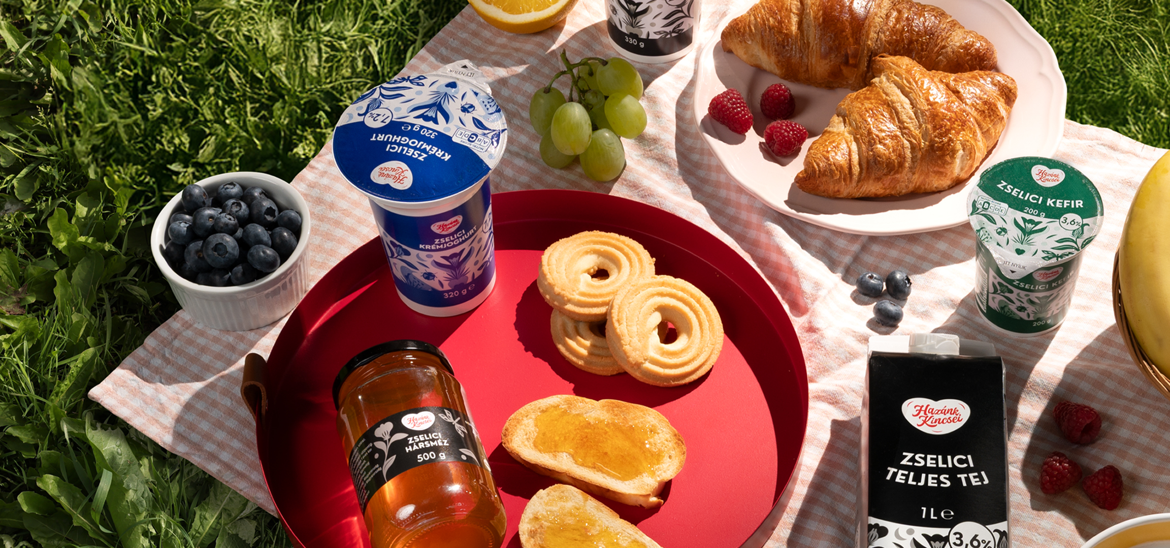 Piknik a fűben Zselici termékekkel: joghurt, kefir, méz, tej, áfonya, málna, szőlő, banán, croissant és keksz.