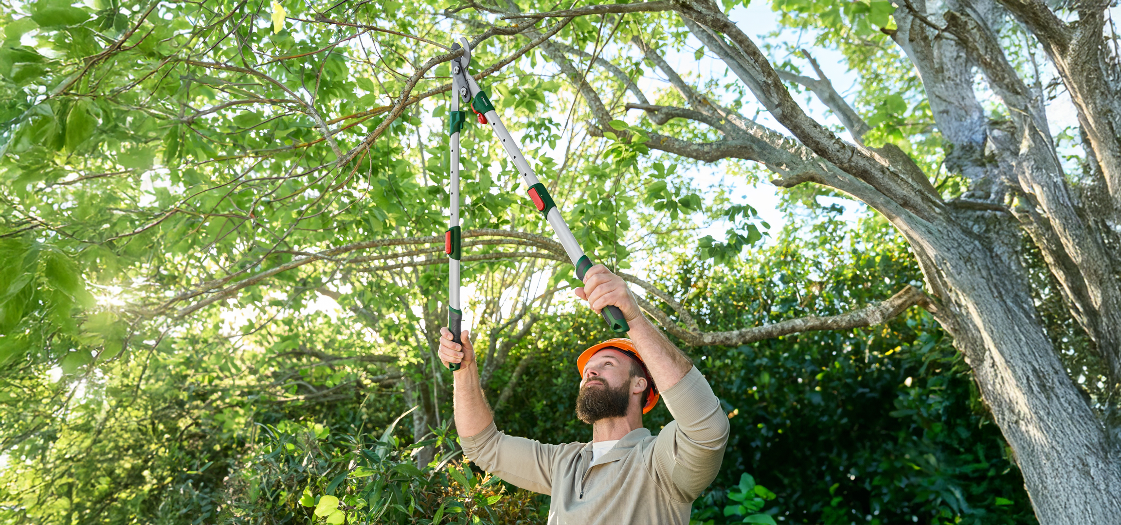 Férfi narancssárga sisakban, hosszú nyelű ágvágóval fát metsz a napfényes erdőben.