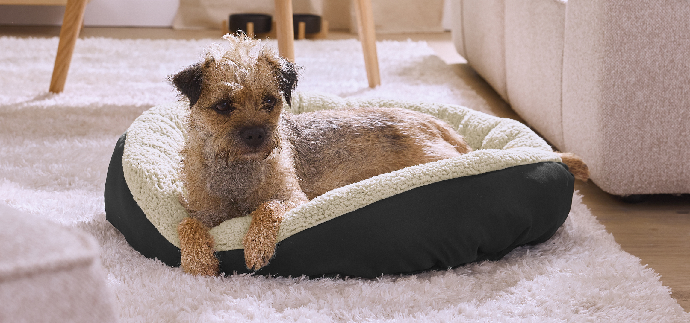 Kutya fekszik egy fekete és bézs színű kutyakosárban, fehér szőnyegen.