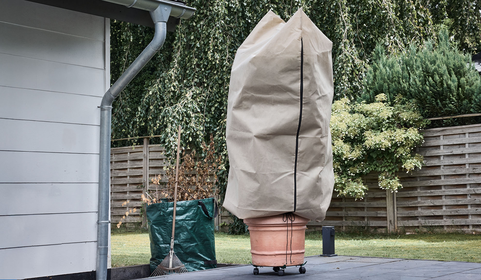 Növénytakaró egy cserepes növényen teraszon, ereszcsatornával és gereblyével.