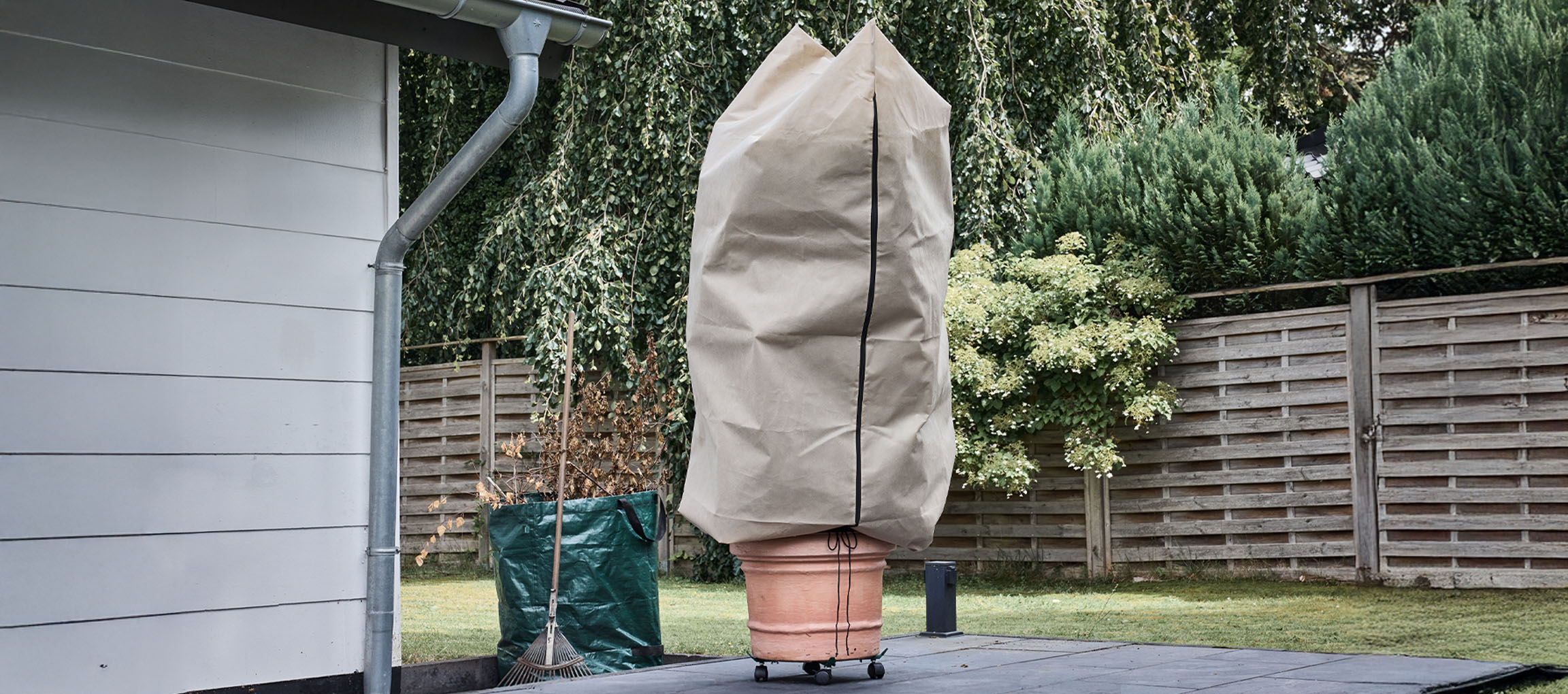 Cserepes növény téli védőhuzattal egy teraszon, ház mellett.