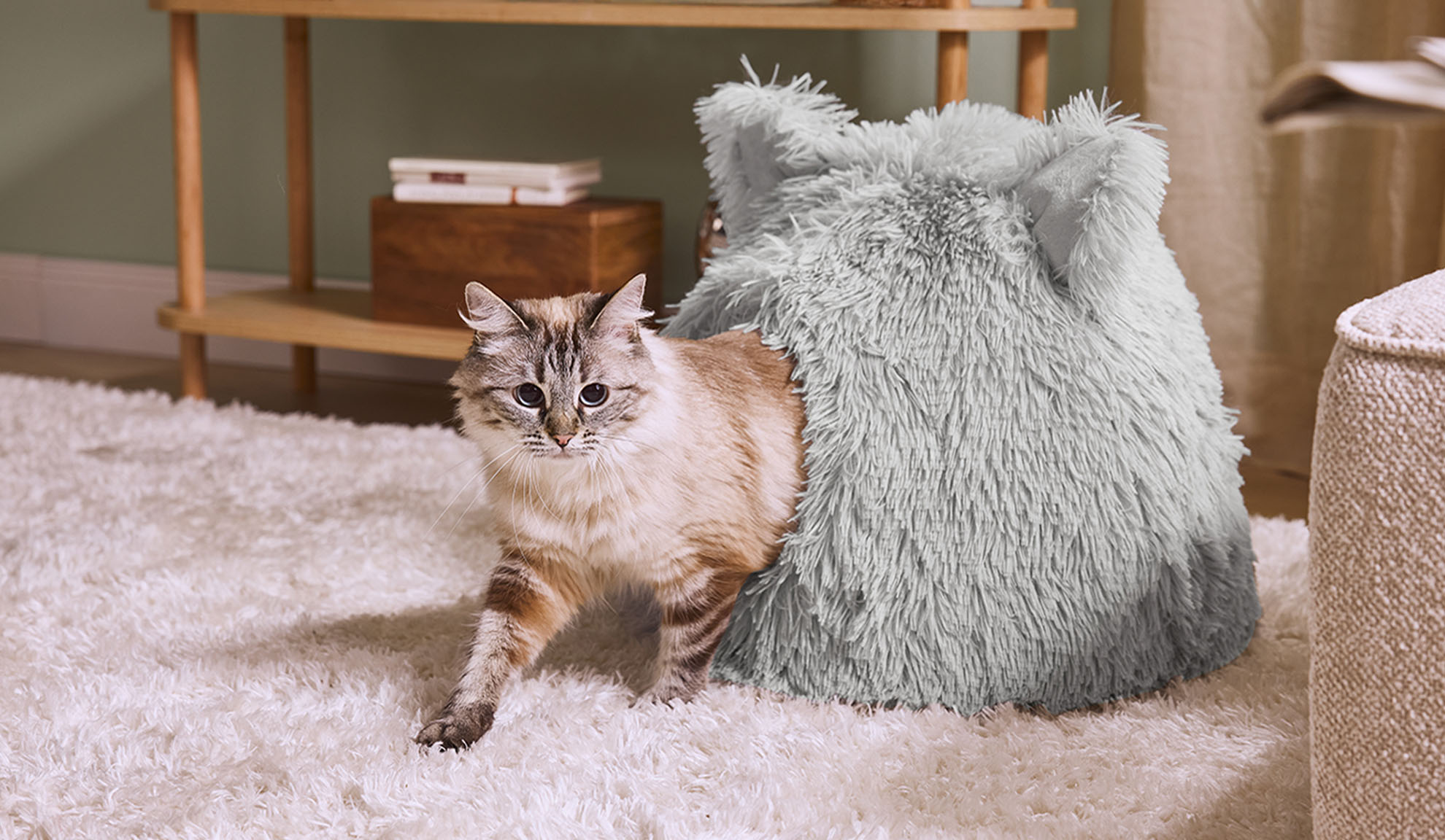 Macska bújik elő egy szürke, bolyhos ágyból egy fehér szőnyegen.