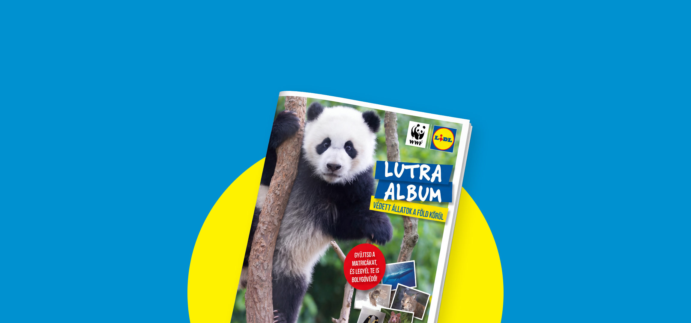 Lutra album védett állatokról, matricákkal és bolygóvédő felhívással.