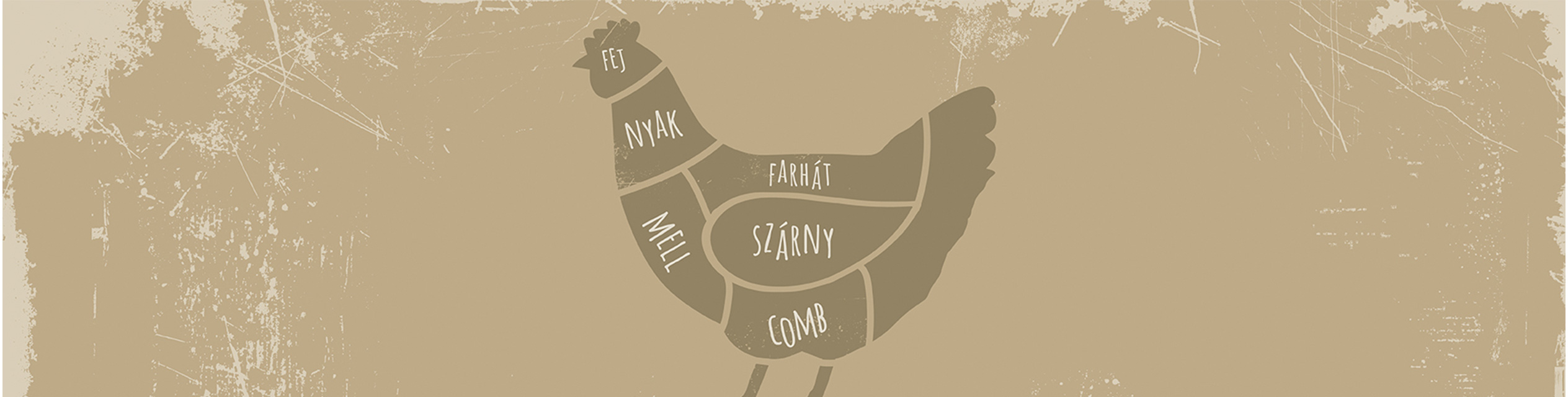 A szárnyasok részei