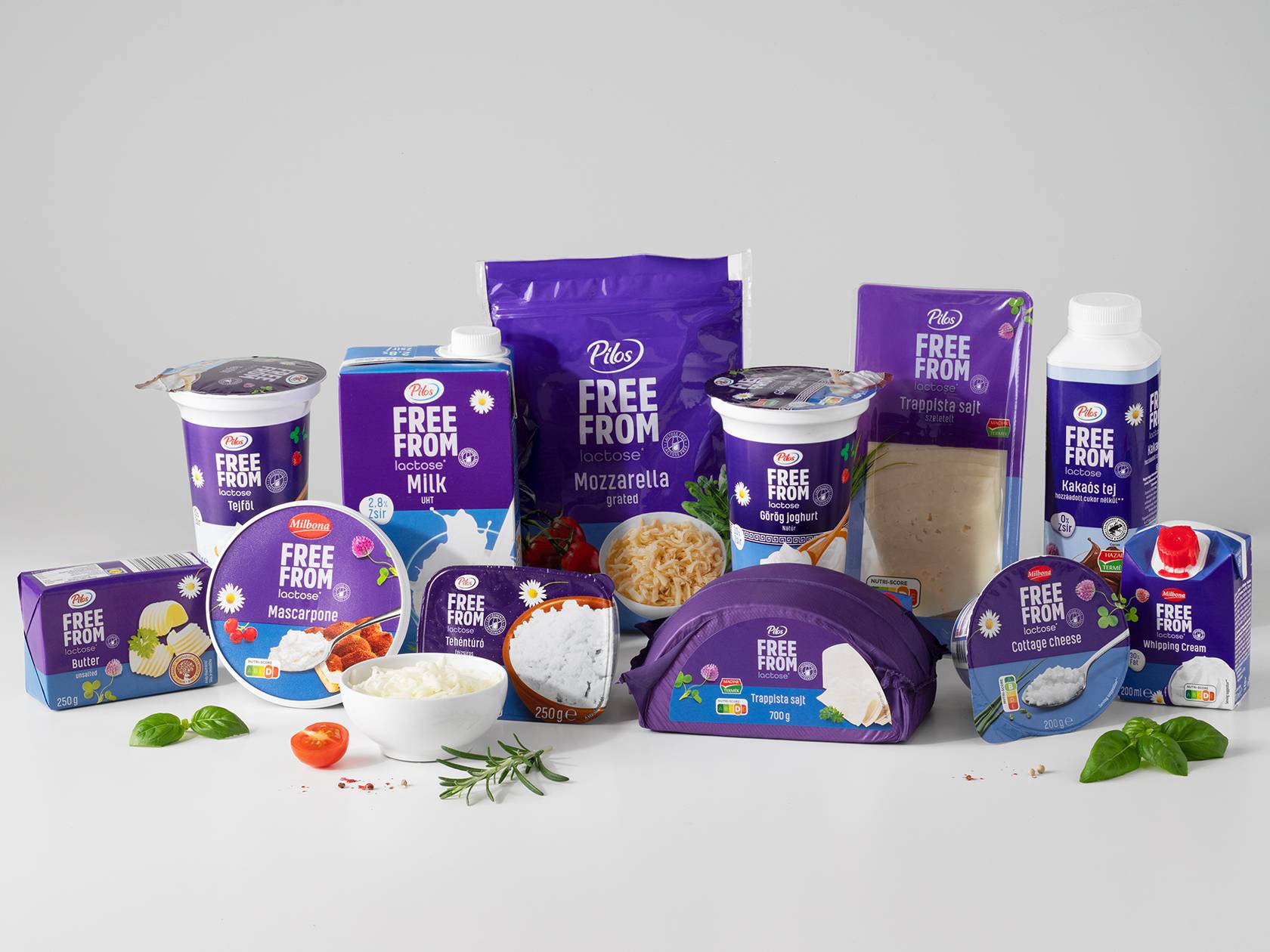 Laktózmentes tejtermékek széles választéka, beleértve a tejet, sajtot, joghurtot és tejszínt.