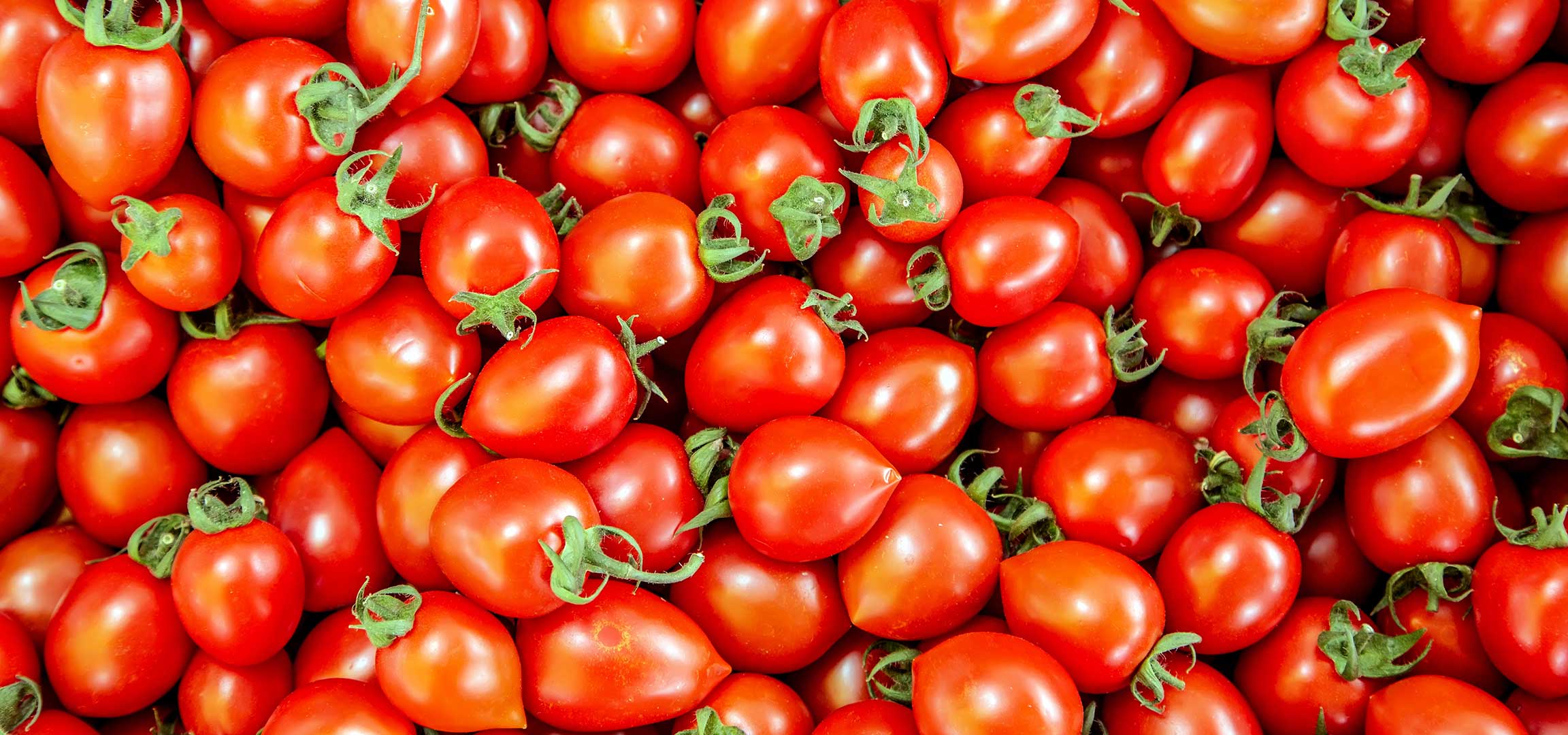 Egy halom élénkpiros, friss koktélparadicsom, néhány zöld szárral.