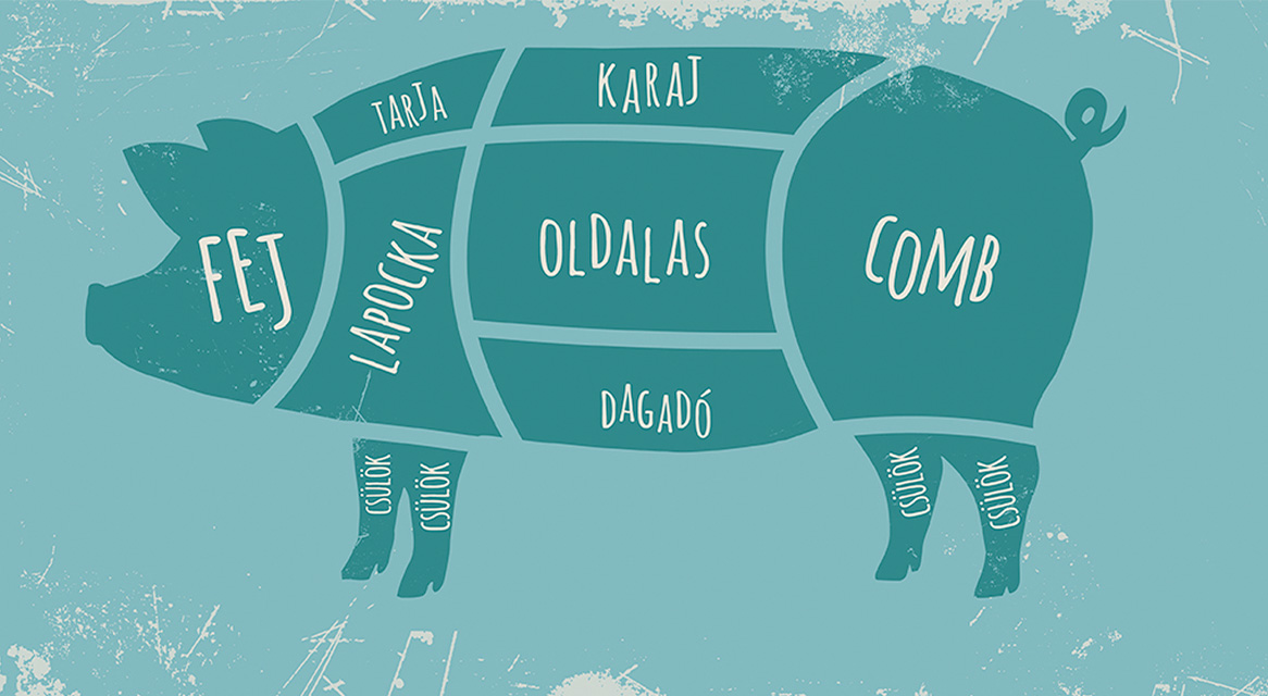 Sertés vágási séma: karaj, lapocka, comb.